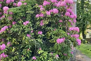 422 Arbor Rd, Lansdowne, PA 19050 - Photo 2