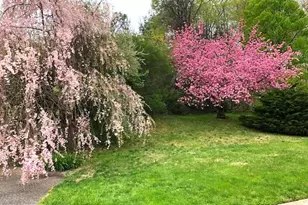 46 Sunset View Dr, Glen Mills, PA 19342 - Photo 4