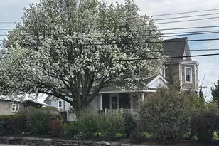 527 Chester Pike, Sharon Hill, PA 19079 - Photo 20