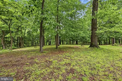 Lot #1 Dogwood Lane, Aston, PA 19014 - Photo 6