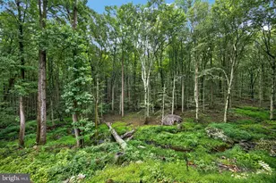 602 Featherbed Ln, Garnet Valley, PA 19060 - Photo 34