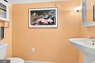 509 Derwyn Rd, Drexel Hill, PA 19026 - Photo 28