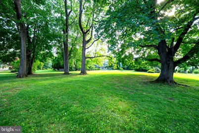 405 Boxwood Road, Bryn Mawr, PA 19010 - Photo 62