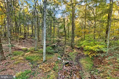 602 Featherbed Lane, Garnet Valley, PA 19060 - Photo 12