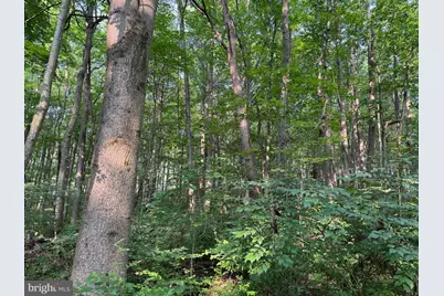 5.5+/- Acres Mountain Green Road, Willow Hill, PA 17271 - Photo 26