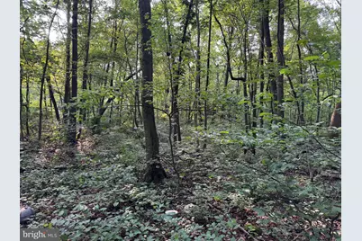 5.5+/- Acres Mountain Green Road, Willow Hill, PA 17271 - Photo 10