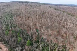 0 Means Hollow Rd, Shippensburg, PA 17257 - Photo 36