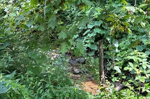 0 Upper Strasburg Rd, Upperstrasburg, PA 17265 - Photo 2