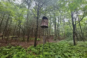 8247 Sweetwater Rd, Fort Loudon, PA 17224 - Photo 32