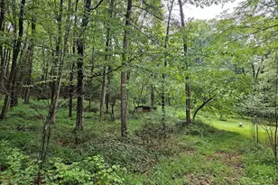 8247 Sweetwater Rd, Fort Loudon, PA 17224 - Photo 34