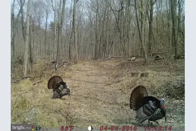 22504 Igloo Drive, Doylesburg, PA 17219 - Photo 58