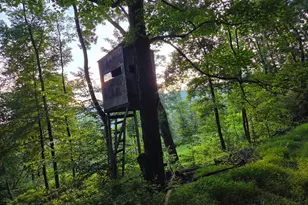 22504 Igloo Dr, Doylesburg, PA 17219 - Photo 44