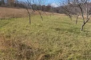 18493 Amberson Rd, Spring Run, PA 17262 - Photo 32