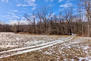 17231 Junkin Rd, Spring Run, PA 17262 - Photo 94