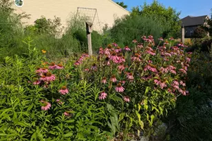 14500 Cedarbrook Dr Dr, Greencastle, PA 17225 - Photo 38