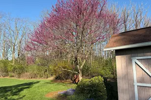 439 Strite Rd, Chambersburg, PA 17202 - Photo 26