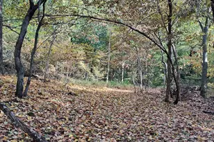 22000 Horse Valley Rd, Doylesburg, PA 17219 - Photo 22