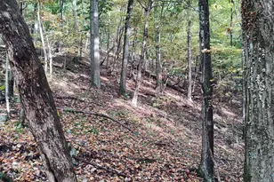 22000 Horse Valley Rd, Doylesburg, PA 17219 - Photo 20