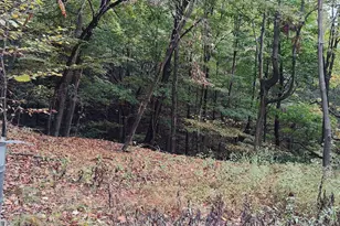 22000 Horse Valley Rd, Doylesburg, PA 17219 - Photo 16