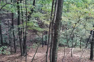 22000 Horse Valley Rd, Doylesburg, PA 17219 - Photo 18