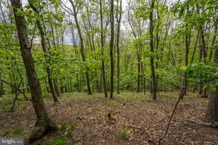 2384 Castlegreen Dr, Greencastle, PA 17225 - Photo 76