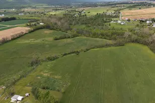 12591 Shimpstown Rd, Mercersburg, PA 17236 - Photo 10