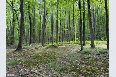 23360 Burns Valley Road, Doylesburg, PA 17219 - Photo 130