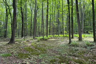 23360 Burns Valley Rd, Doylesburg, PA 17219 - Photo 130