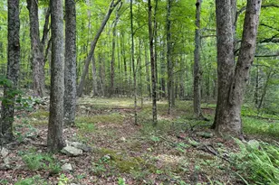 23360 Burns Valley Rd, Doylesburg, PA 17219 - Photo 118