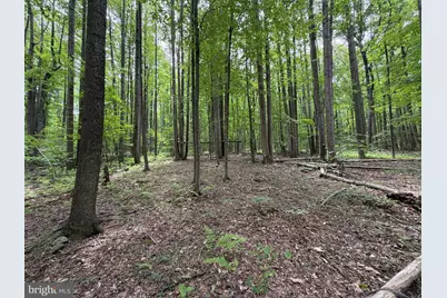 23360 Burns Valley Road, Doylesburg, PA 17219 - Photo 96