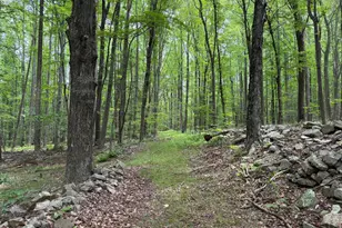 23360 Burns Valley Rd, Doylesburg, PA 17219 - Photo 116
