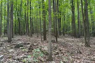 23360 Burns Valley Rd, Doylesburg, PA 17219 - Photo 122