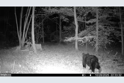 Tract 1: 56+/- Acres At 9611 Circle Drive, Chambersburg, PA 17202 - Photo 42