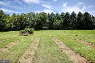 6834 Slabtown Rd, Waynesboro, PA 17268 - Photo 48