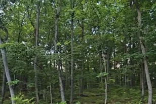 0 Cumberland Hwy, Newburg, PA 17240 - Photo 1