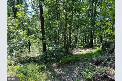 Hill Road, Warfordsburg, PA 17267 - Photo 4