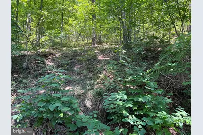 Hill Road, Warfordsburg, PA 17267 - Photo 1