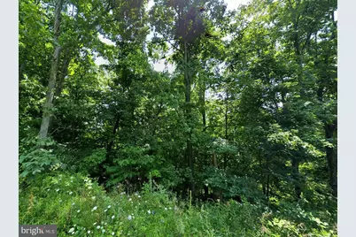 McKees Gap - Lot #7, Warfordsburg, PA 17267 - Photo 10