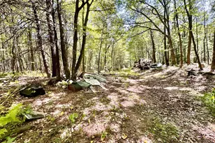 6805 Black Bear Rd, Needmore, PA 17238 - Photo 30