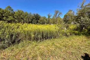 6805 Black Bear Rd, Needmore, PA 17238 - Photo 10