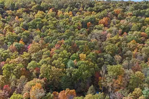 5545 Thompson Rd, Needmore, PA 17238 - Photo 48