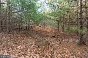 370 Kalers Loft Ln, Crystal Spring, PA 15536 - Photo 42