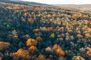 370 Kalers Loft Ln, Crystal Spring, PA 15536 - Photo 54