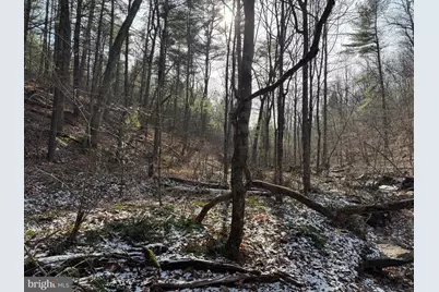 87+/- Acres Haven Ln, Warfordsburg, PA 17267 - Photo 90