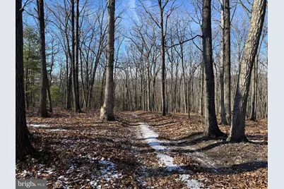 87+/- Acres Haven Ln, Warfordsburg, PA 17267 - Photo 30