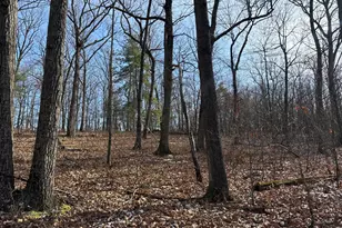 87+/- Acres Haven Ln, Warfordsburg, PA 17267 - Photo 130