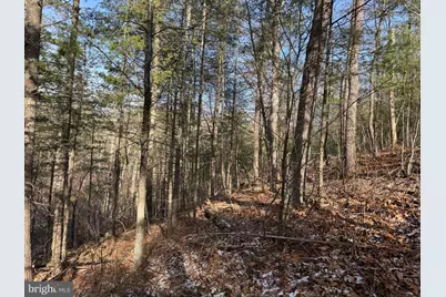 87+/- Acres Haven Ln, Warfordsburg, PA 17267 - Photo 84