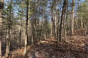 87+/- Acres Haven Ln, Warfordsburg, PA 17267 - Photo 84