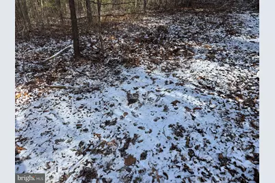 87+/- Acres Haven Ln, Warfordsburg, PA 17267 - Photo 96