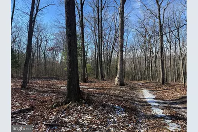 87+/- Acres Haven Ln, Warfordsburg, PA 17267 - Photo 28